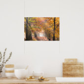 Affiche de rayons de soleil dans une forêt automna (Cuisine)