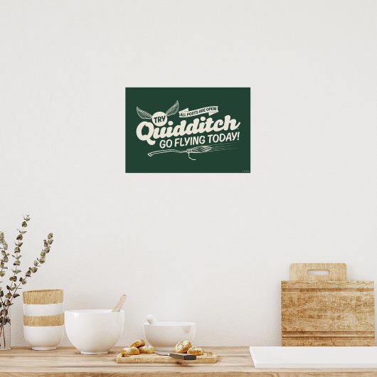 Affiche de recrutement de QUIDDITCH™ (Cuisine)