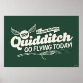 Affiche de recrutement de QUIDDITCH™ (Devant)