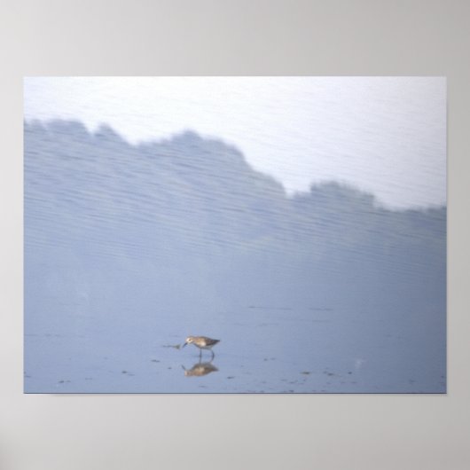Affiche de réflexion d'oiseau (Devant)