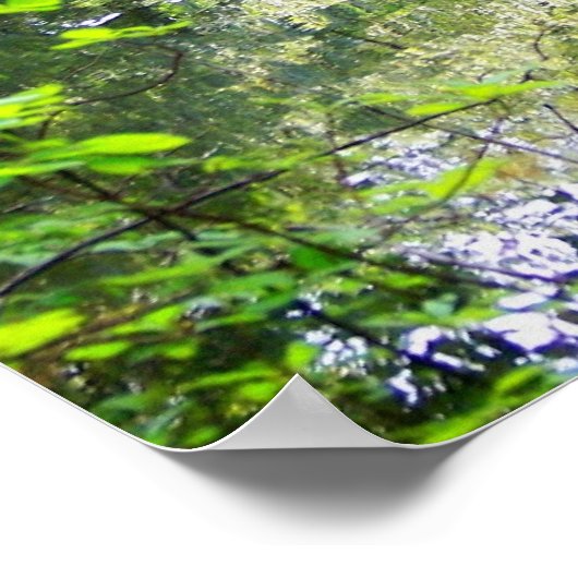 Affiche de réflexion enchantée (Coin)