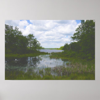 Affiche de réflexions de paysage aquatique