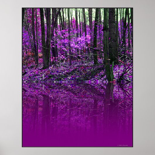 Affiche de Réflexions violettes (Devant)