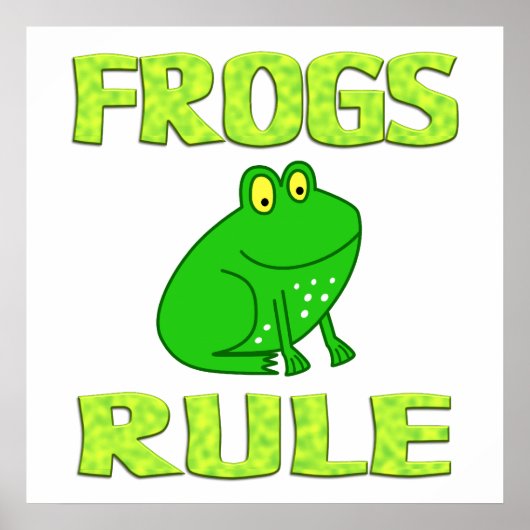AFFICHE DE RÈGLE DES ROGS (Devant)