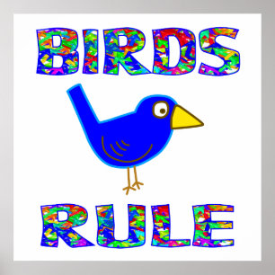 Affiche de RÈGLE d'OISEAUX