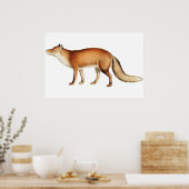 Affiche de renard (Cuisine)