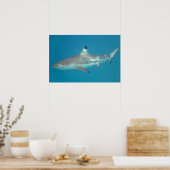 Affiche de requin nageant sous l'eau (Cuisine)