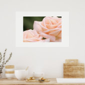 Affiche de roses crème magnifiques (Cuisine)