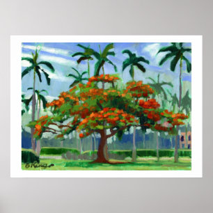 Affiche de Royal Poinciana