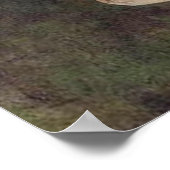 Affiche de Saraswati (Coin)