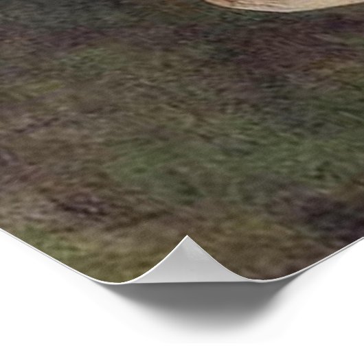 Affiche de Saraswati (Coin)