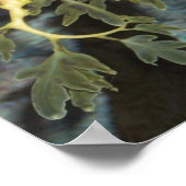 Affiche de Seahorse (Coin)