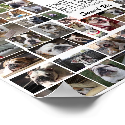 Affiche de Secourt de la BERN (Coin)