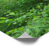 Affiche de sentier naturel (Coin)