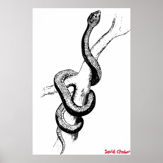 Affiche de serpent (Devant)