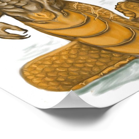 Affiche de Shaagra (Coin)