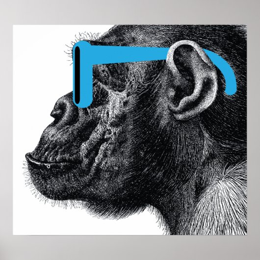 Affiche de Shades Funny (Devant)