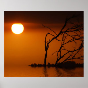 Affiche de silhouette de soleil couchant