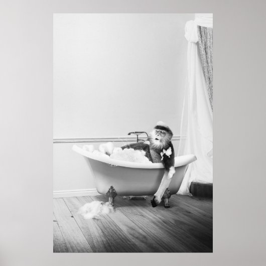 Affiche de singe dans une baignoire (Devant)