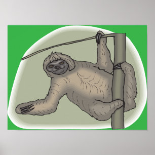 Affiche de Sloth