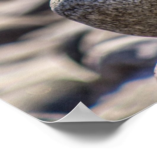 Affiche de solde (Coin)