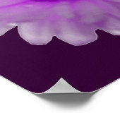 Affiche de Souci Blanc et Violet (Coin)