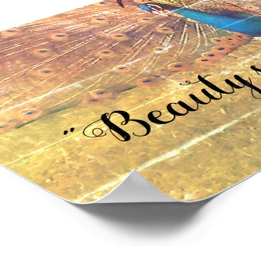 Affiche de soumission Socrates (Coin)