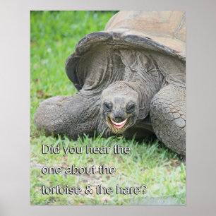 Affiche de sourire de tortue