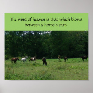 Affiche de soutien de délivrance de cheval de