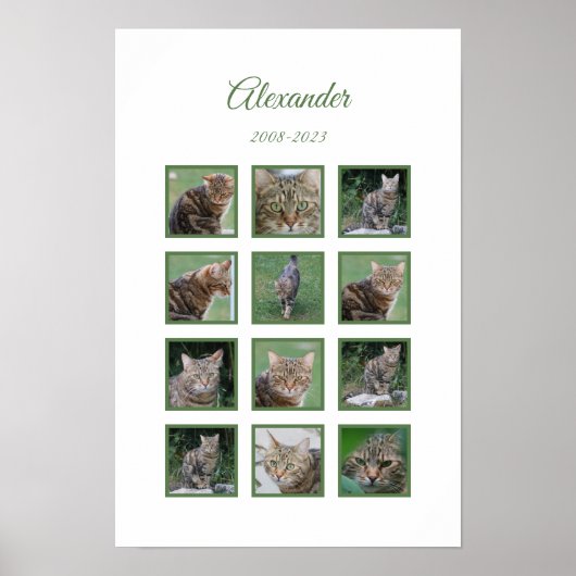 Affiche de souvenir personnalisable pour animaux d (Devant)