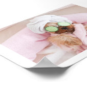 affiche de spa de chien / toilettage de chien (Coin)