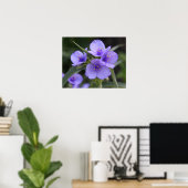 Affiche de Spiderwort (Bureau à domicile)
