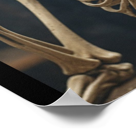 Affiche de squelette (Coin)