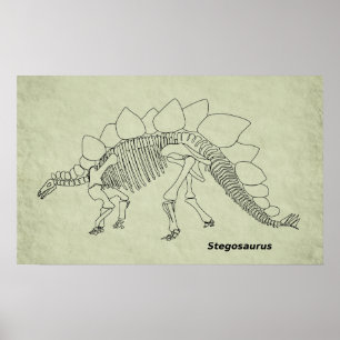 Affiche de squelette de stégosaure