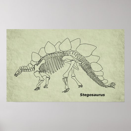 Affiche de squelette de stégosaure (Devant)