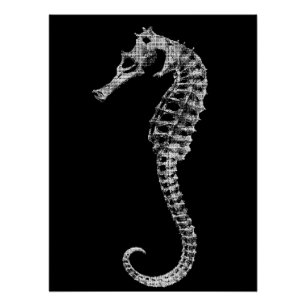 Affiche de squelette d'hippocampe scientifique