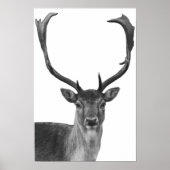 Affiche de style cabane cerf noir et blanc (Devant)