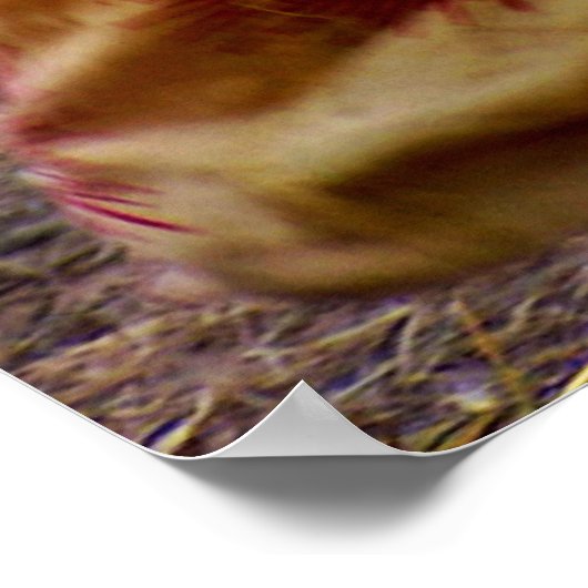 affiche de style spirititititi (Coin)