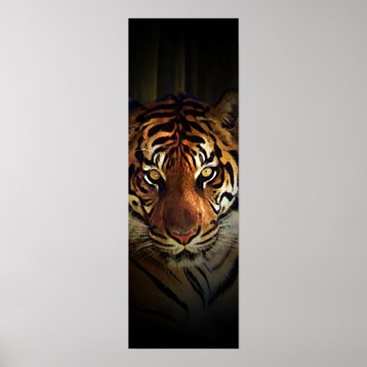 Affiche de Sumatran Tiger (Devant)