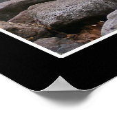 Affiche de surveillance du loup (Coin)