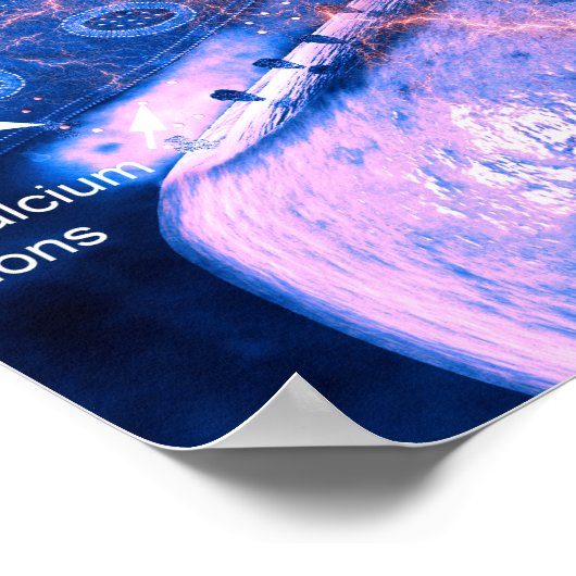 Affiche de synthèse de nerfs (Coin)