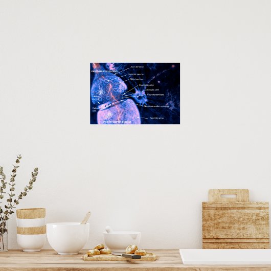 Affiche de synthèse de nerfs (Cuisine)