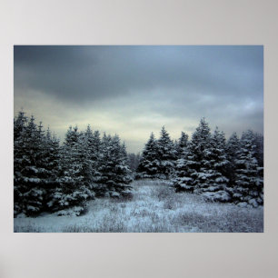 Affiche de tempête d'hiver