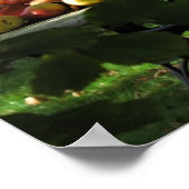 Affiche de temps de récolte (Coin)