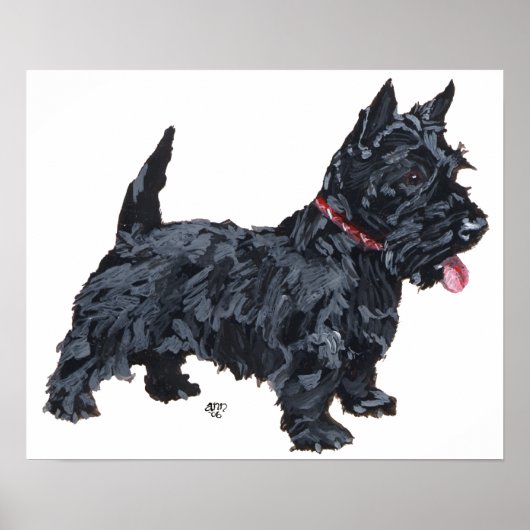 Affiche de Terrier Écossais (Devant)