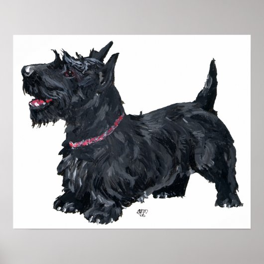 Affiche de Terrier Écossais (Devant)