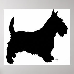 Affiche de Terrier Écossais