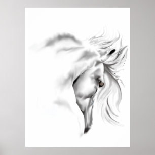 Affiche de tête de cheval de Whte