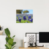 Affiche de Texas Bluebonnets (Bureau à domicile)