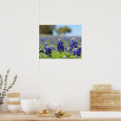 Affiche de Texas Bluebonnets (Cuisine)